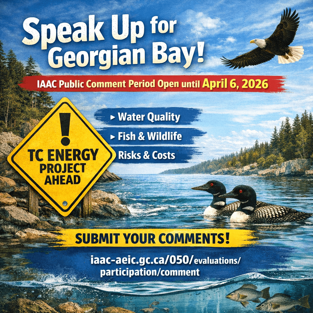 Save Georgian Bay tweet media