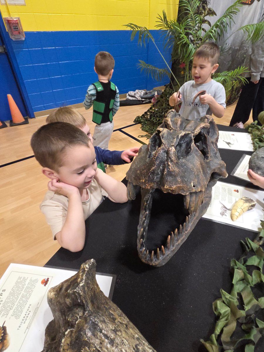 Trisha Costello tweet media