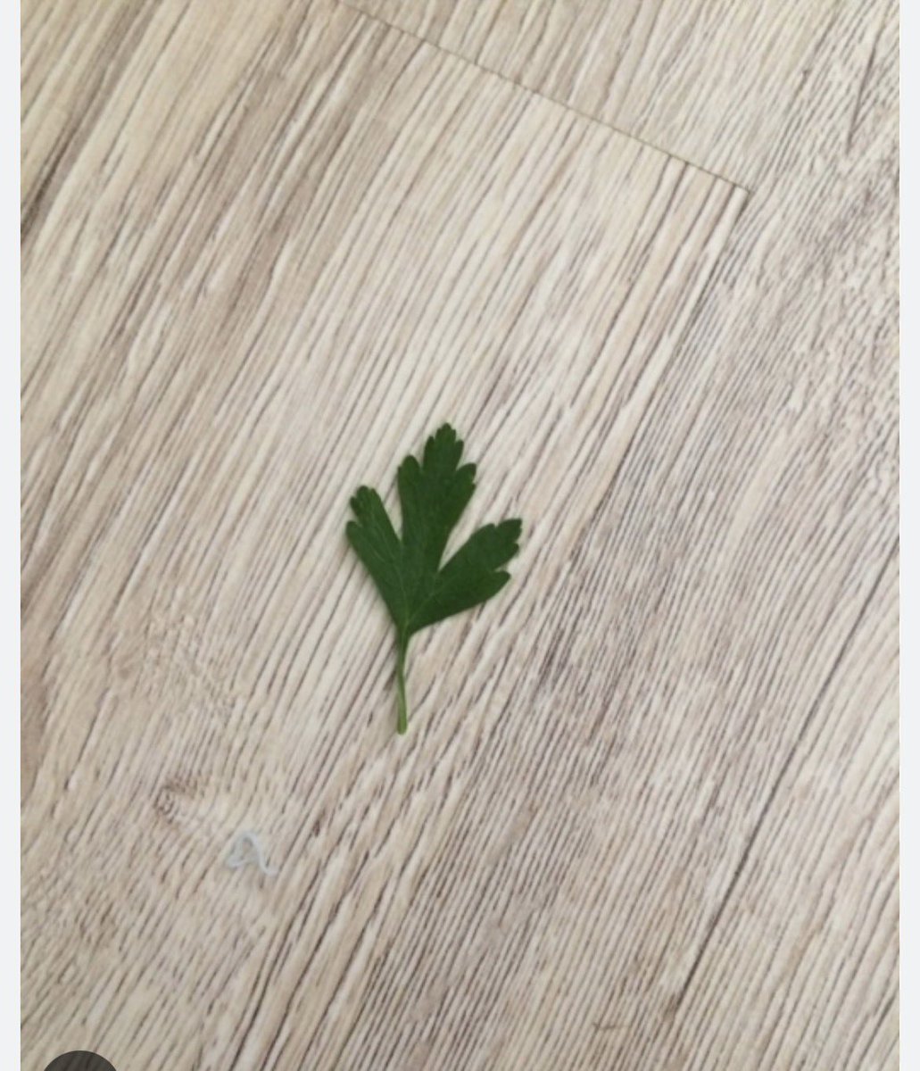 Herkes müsterih olsun Fenerbahçe buradan ayağa kalkmasını bilir…