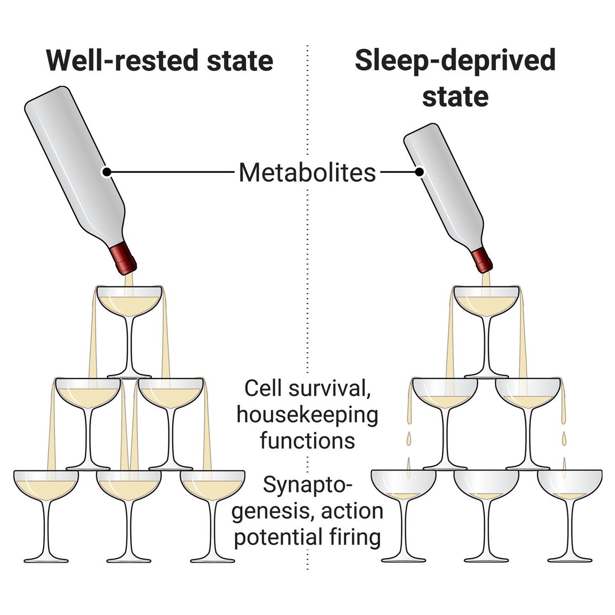 Science Magazine tweet media