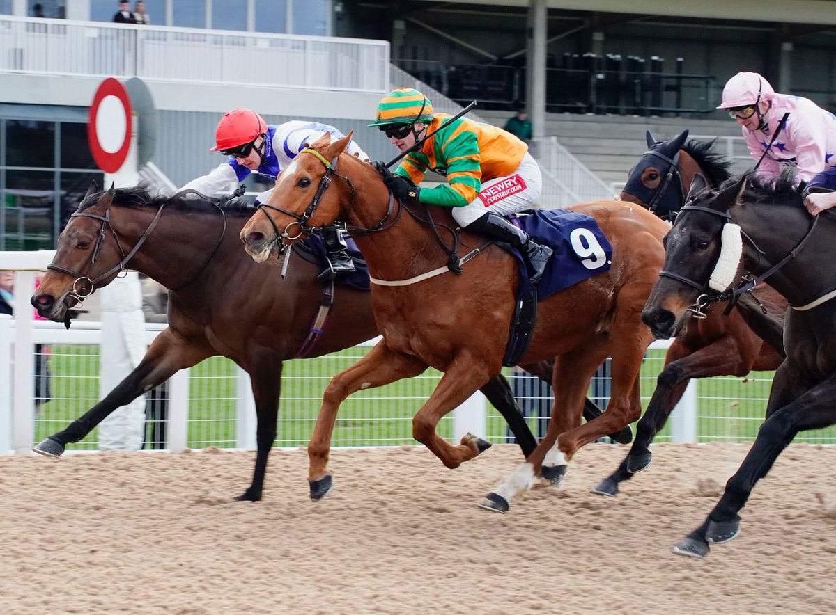 ChannonRacing's tweet image. Seven Fires gets her head in front at Southwell this evening, backing up last month’s success with another win under George Bass. Many congratulations to her owners J Widdows &amp;amp; Partner 🏆

#JCR #JackChannonRacing