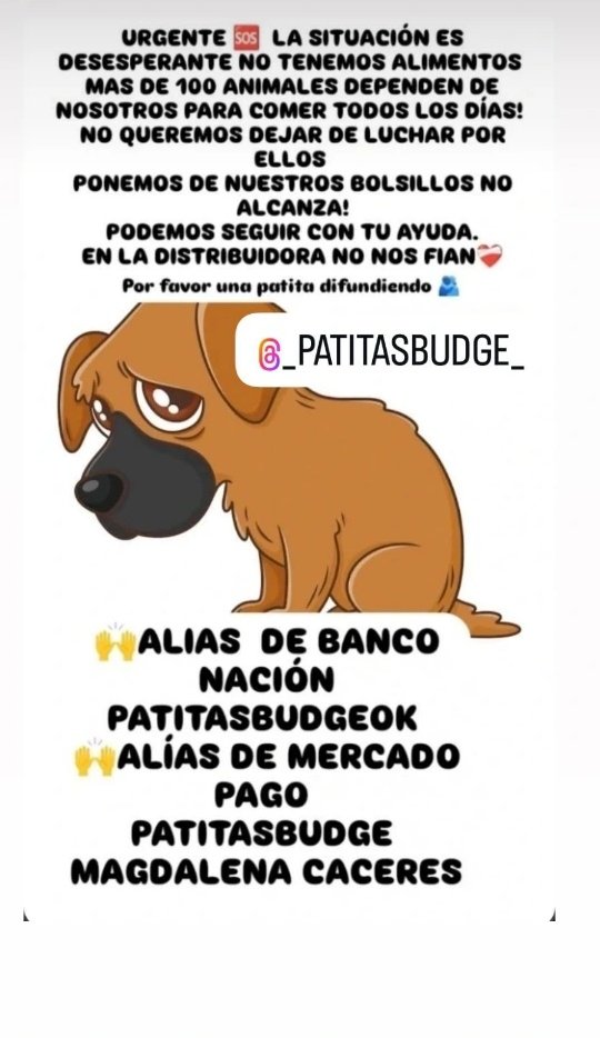 AYUDAA🆘  LA SITUACIÓN ES DESESPERANTE NO TENEMOS ALIMENTOS 
MAS DE 100 ANIMALES NO TIENEN PARA COMER 
NO QUEREMOS DEJAR DE LUCHAR POR ELLOS
PONEMOS DE NUESTROS BOLSILLOS NO ALCANZA!
EN LA DISTRIBUIDORA NO NOS FIAN❤️‍🩹
🙌ALIAS PATITASBUDGE 
ALIAS PATITASBUDGEOK 
MAGDALENA CACERES