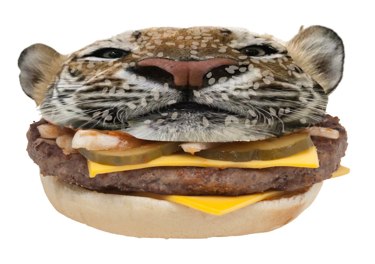 Will a DJ burger ever find his Mr burger in this great big burger world