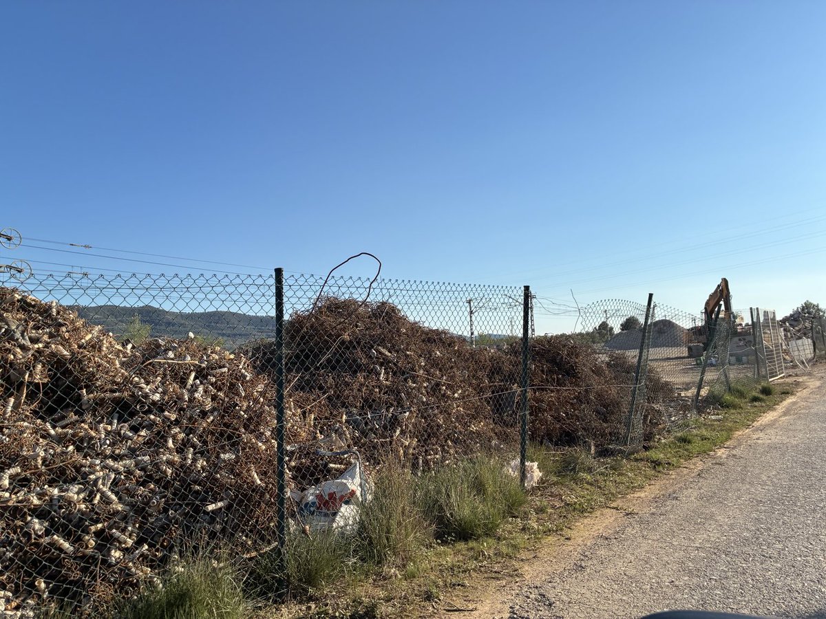 Eduardo Rojas Briales tweet media