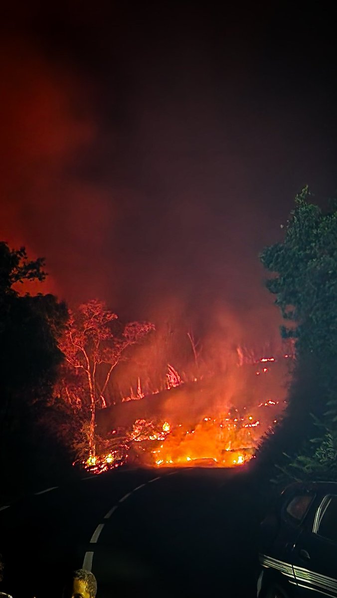 N'waro🇷🇪 tweet media