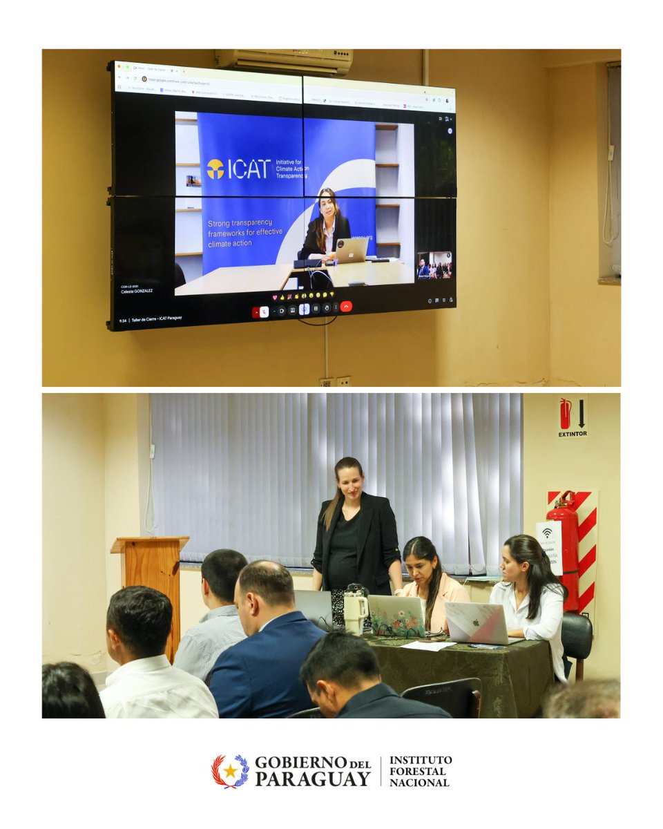 Instituto Forestal Nacional del Paraguay tweet media