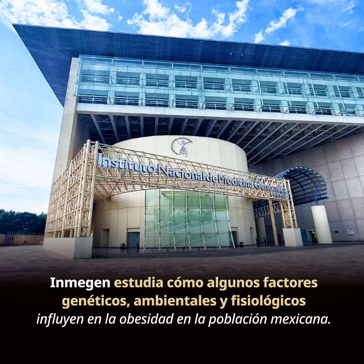 SALUD México tweet media