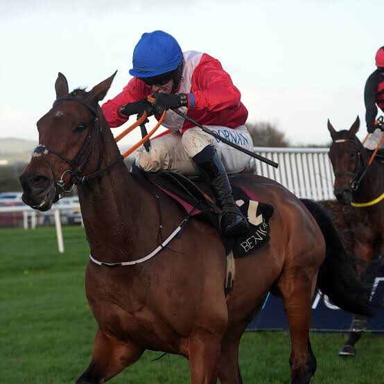 🚨 RACED TO DEATH: Third Horse Dies At Cheltenham Festival 

Twelve-year-old racehorse Envoi Allen because the third victim of this year’s  Cheltenham Festival after collapsing on the horse walk moments after the Gold Cup and died despite veterinary attention behind screens.

He