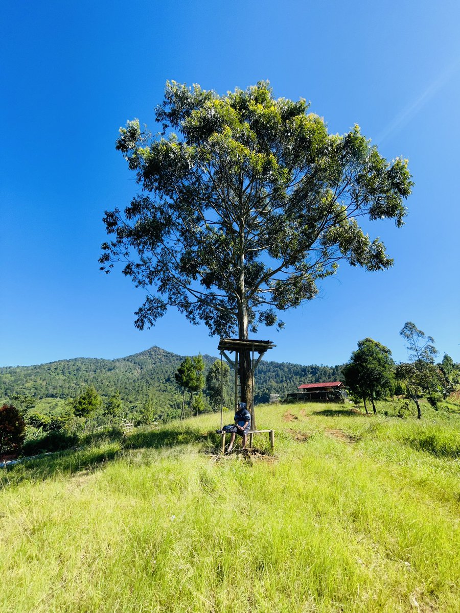 kunhendi tweet media