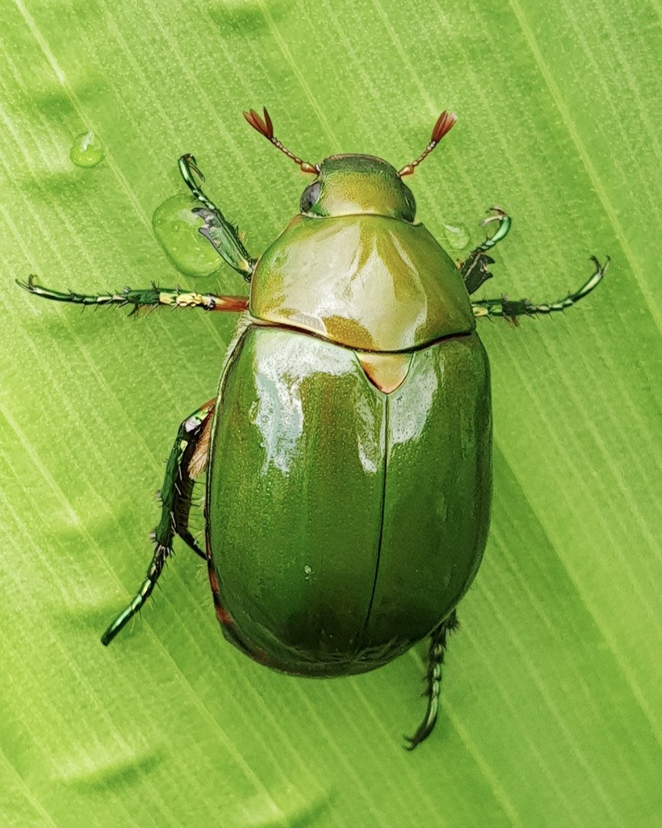 Wurms🪱 tweet media