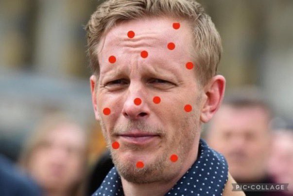 Fi 🇪🇺 tweet media