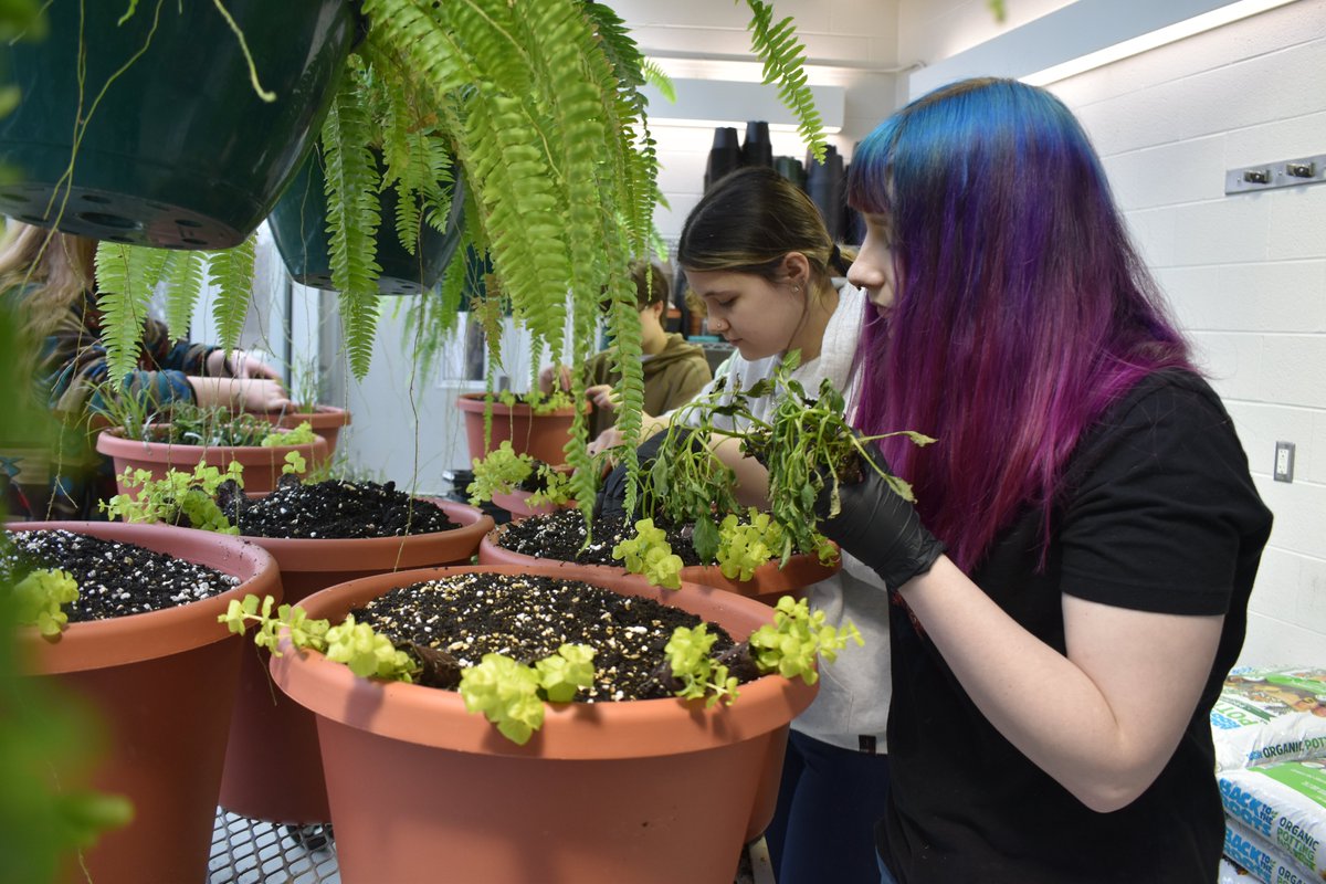 muskegonctc's tweet image. It may feel like winter outside… ❄️ but inside our greenhouse, spring is already growing. 🌱  #FutureFocused