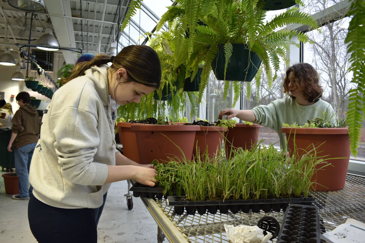 muskegonctc's tweet image. It may feel like winter outside… ❄️ but inside our greenhouse, spring is already growing. 🌱  #FutureFocused