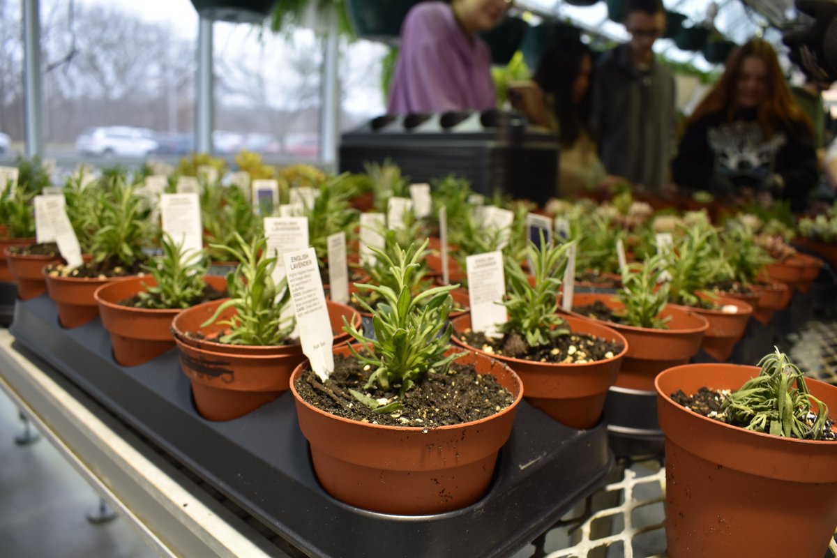 muskegonctc's tweet image. It may feel like winter outside… ❄️ but inside our greenhouse, spring is already growing. 🌱  #FutureFocused