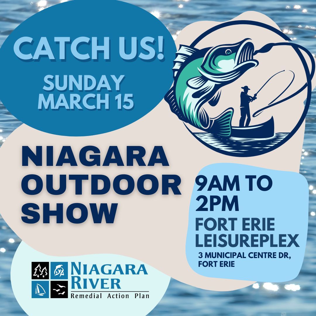 Niagara River RAP (Canada) tweet media