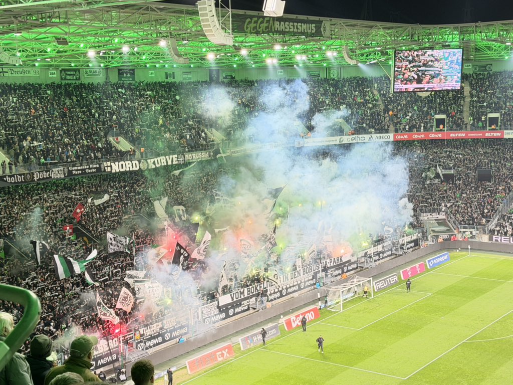 Fohlen-Hautnah.de tweet media