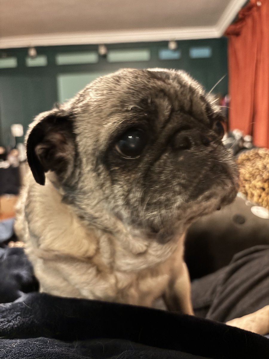 aweminus 📧 tweet media