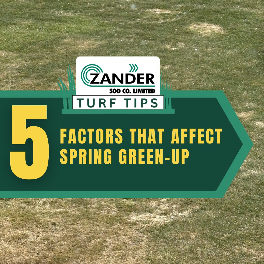 Zander Sod tweet media