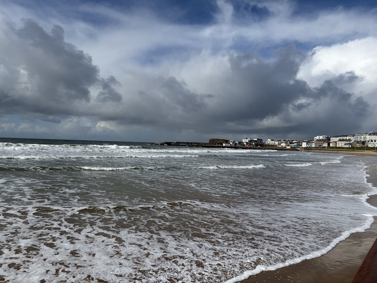 Tweeter of Wit tweet media