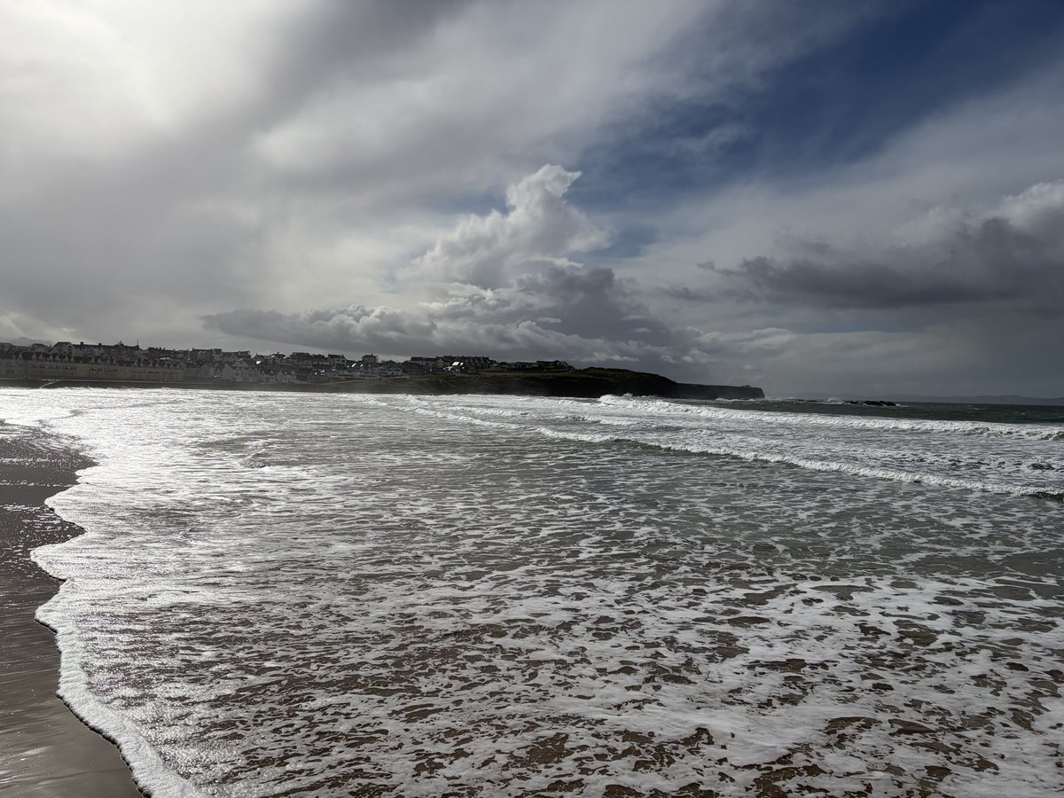 Tweeter of Wit tweet media