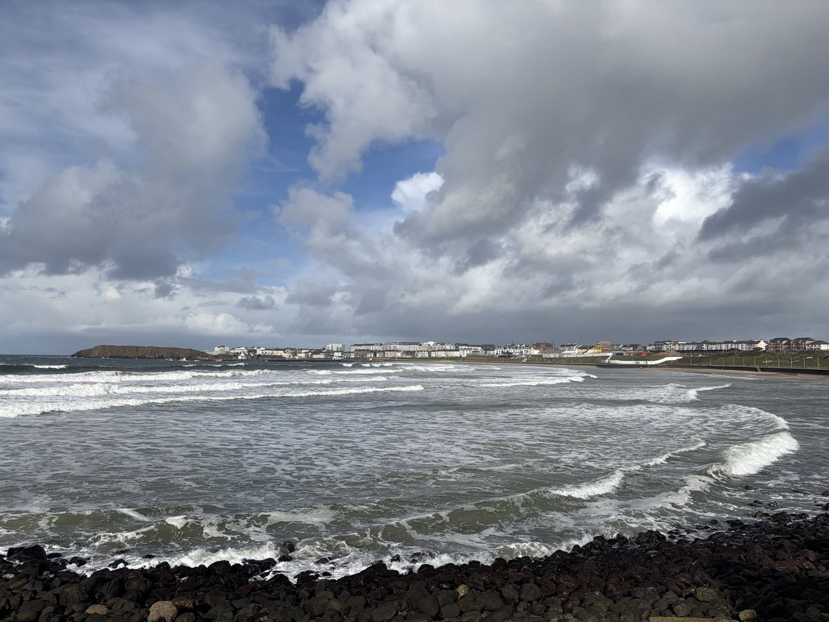 Tweeter of Wit tweet media