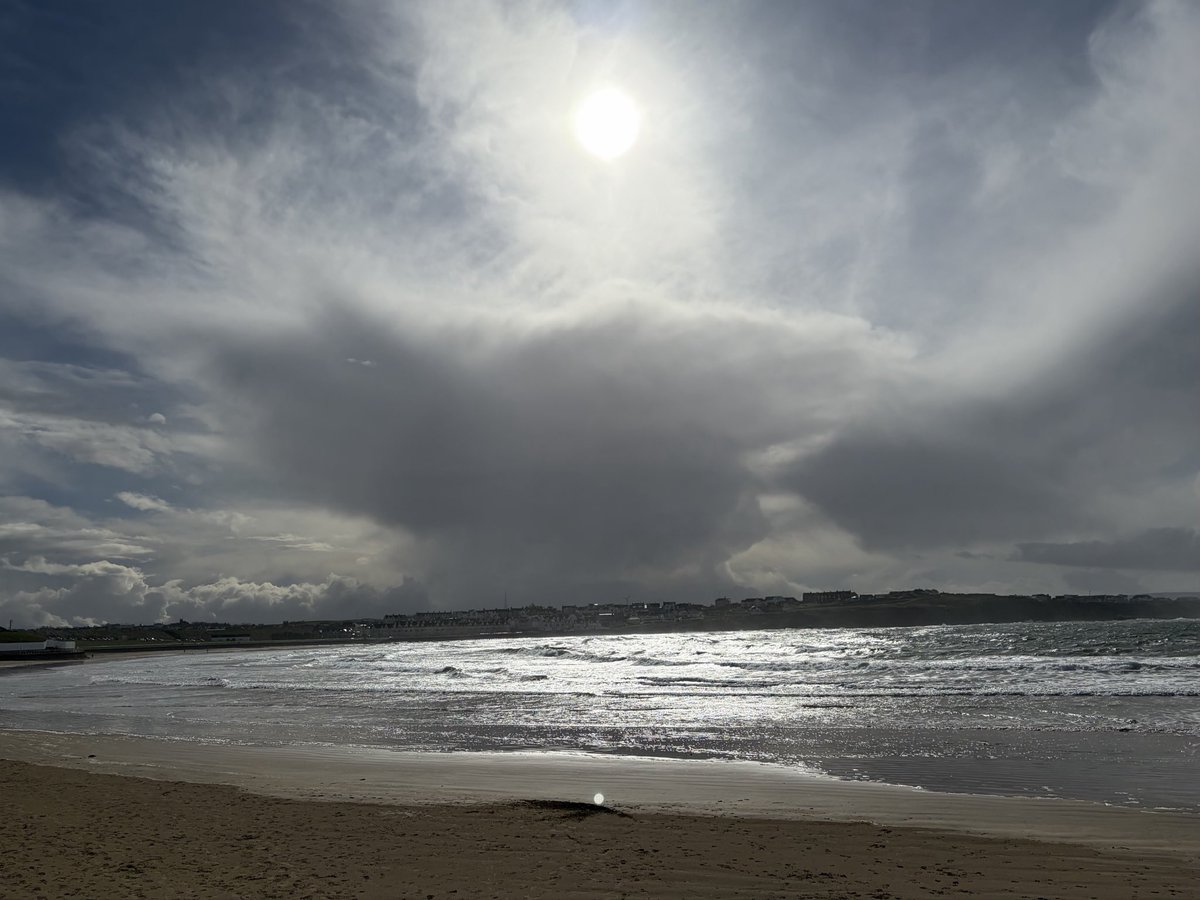 Tweeter of Wit tweet media