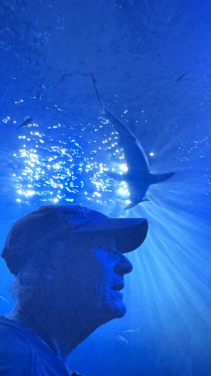 Rob Grant tweet media