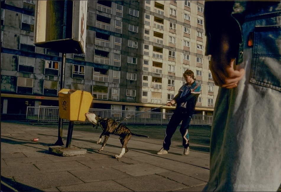 Fritters tweet media