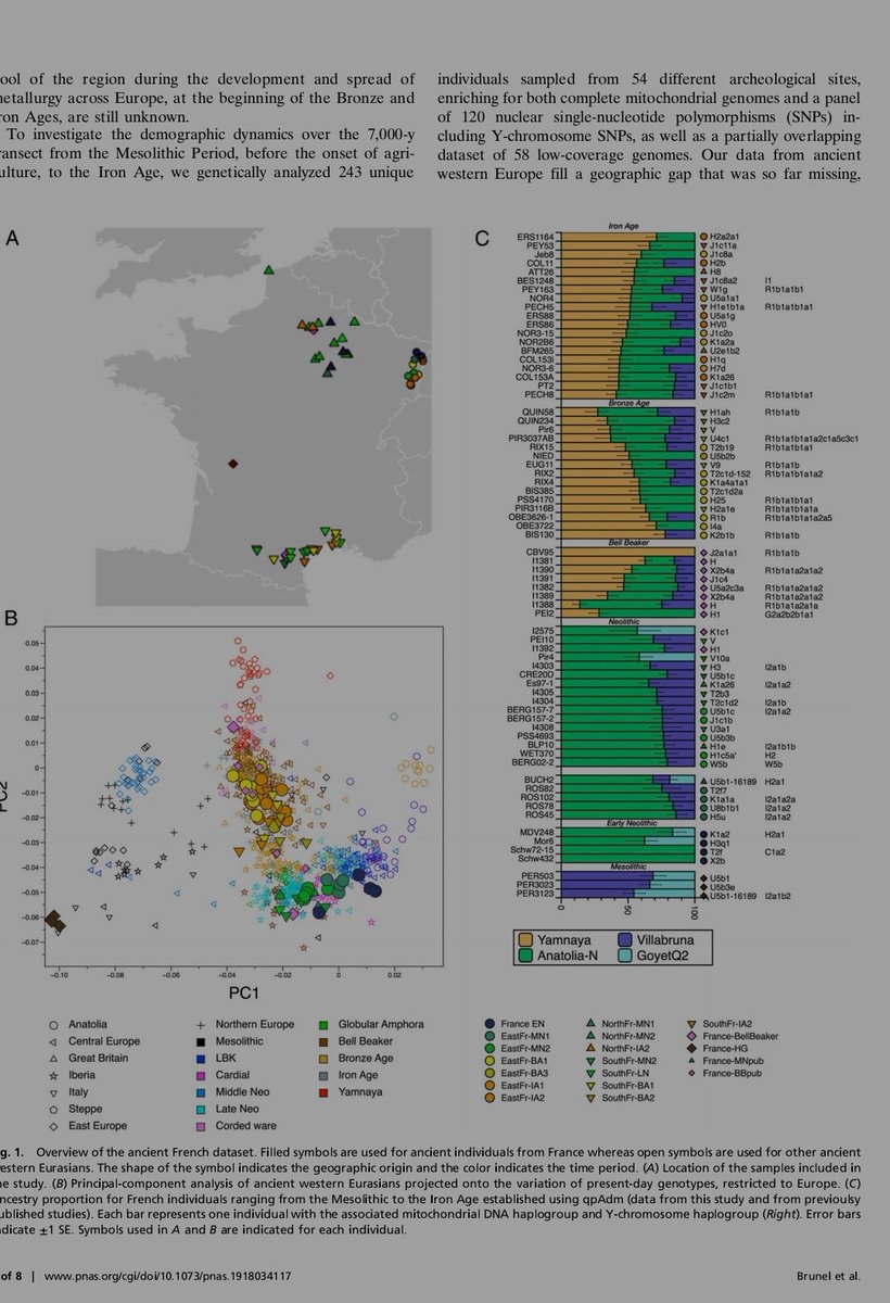 foreziendeter's tweet photo. @DanDavisWrites Faut plusieurs études montre que les populations magdalénienne ont eux de nombreux descendants dans les populations néolithique du sud ouest de l'Europe et même parmis les chasseurs cueilleurs epigravettien 
https://t.co/GDFwVGEfp4 https://t.co/EcBt71Brvn