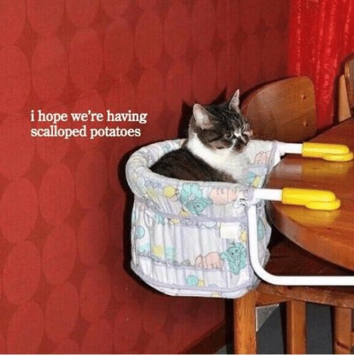 just had this dinner thought