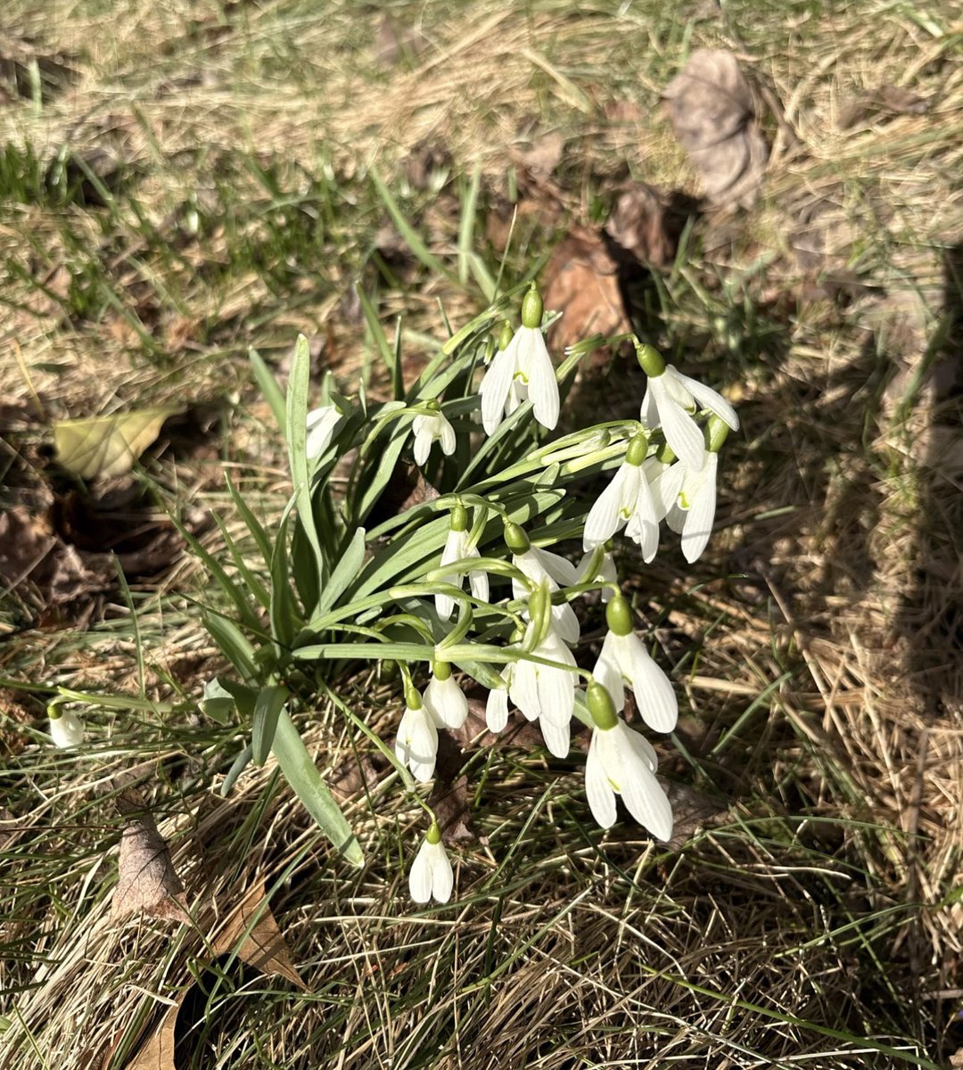 jess.jpg tweet media