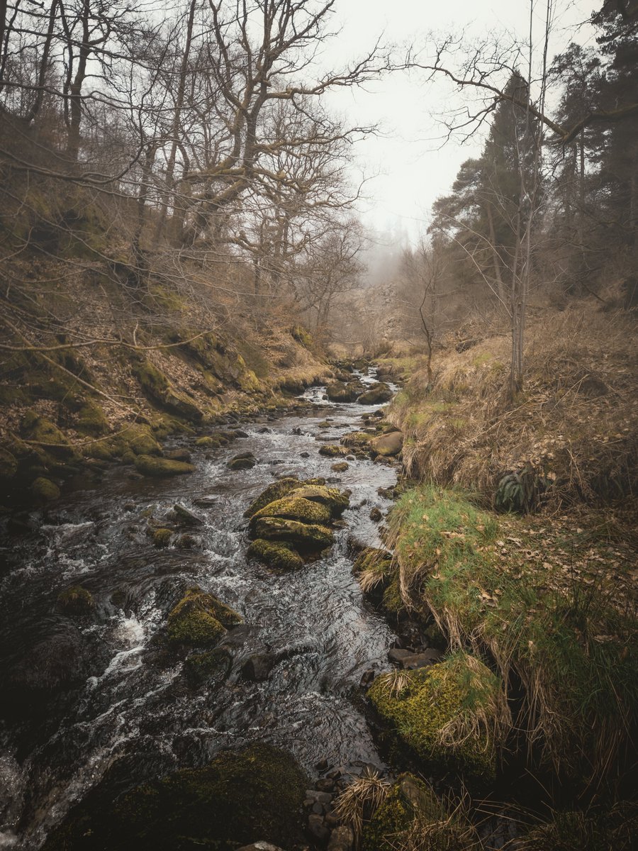 KankaMarcin's tweet photo. Misty day by the River Goyt in the quiet Goyt Valley. 🌫️
Soft light, flowing water, and a moment of calm in nature. 🌿

#peakdistrictnationalpark #goytvalley #rivergoyt #mistymorning #uknature #quietmoments #naturewalk #peacefulplaces #landscapephotography #WanderUK https://t.co/3MzoJrKUZZ