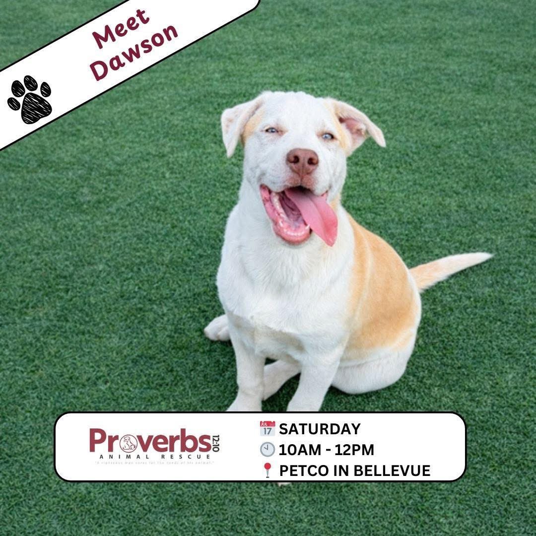 Proverbs 12:10 Animal Rescue tweet media