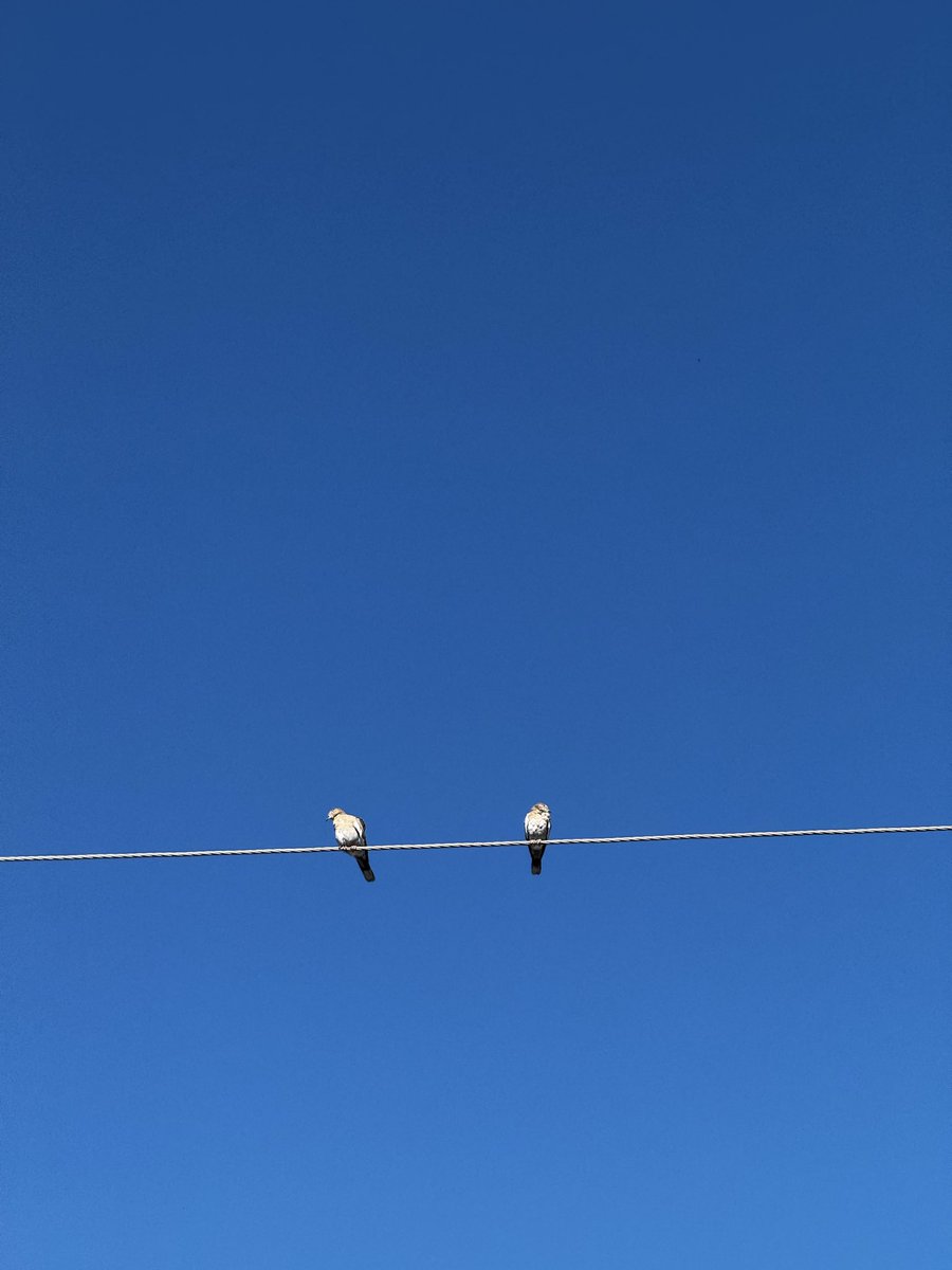 Steph González tweet media