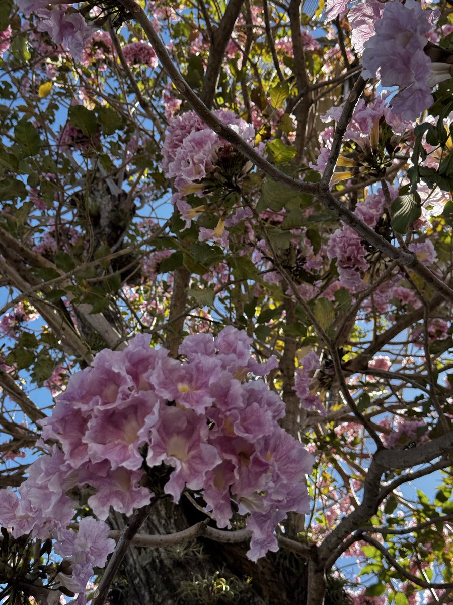 Steph González tweet media