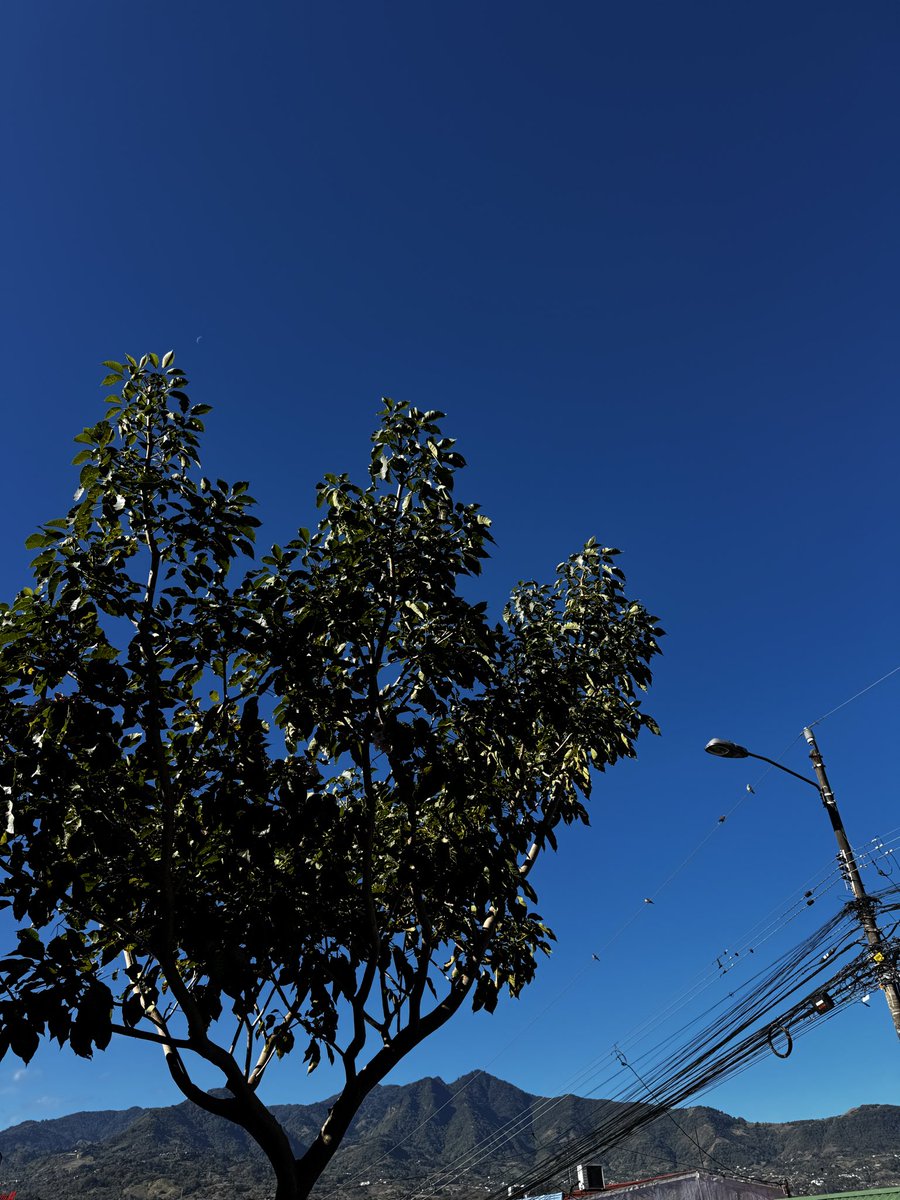 Steph González tweet media