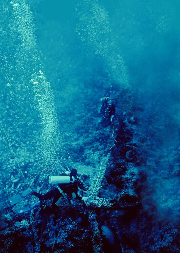 Fundación Caribe Sur tweet media