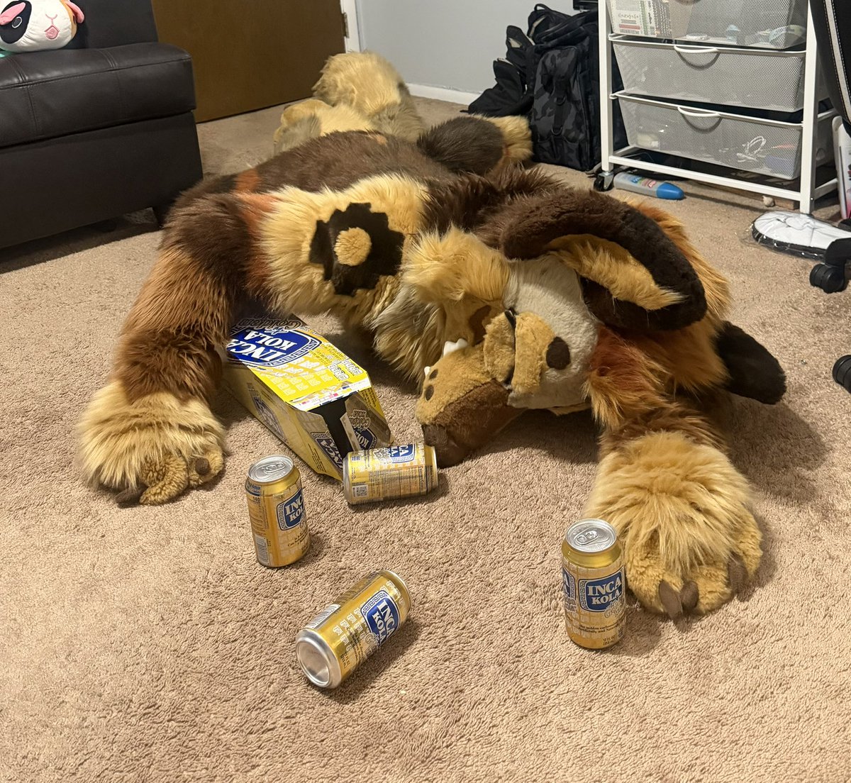 Orfa @ FTM tweet media