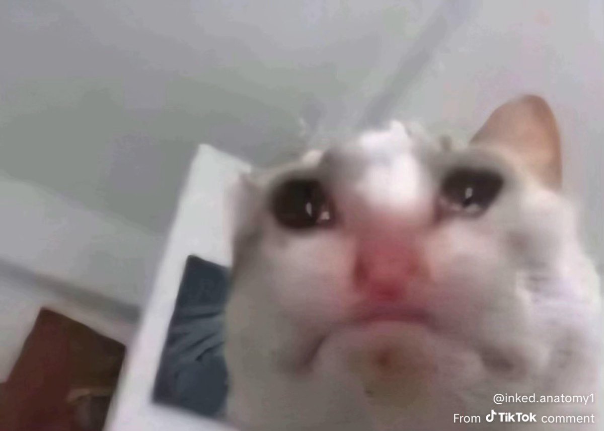 I wish I could post photos of my sweet baby!! He’s so cute!!