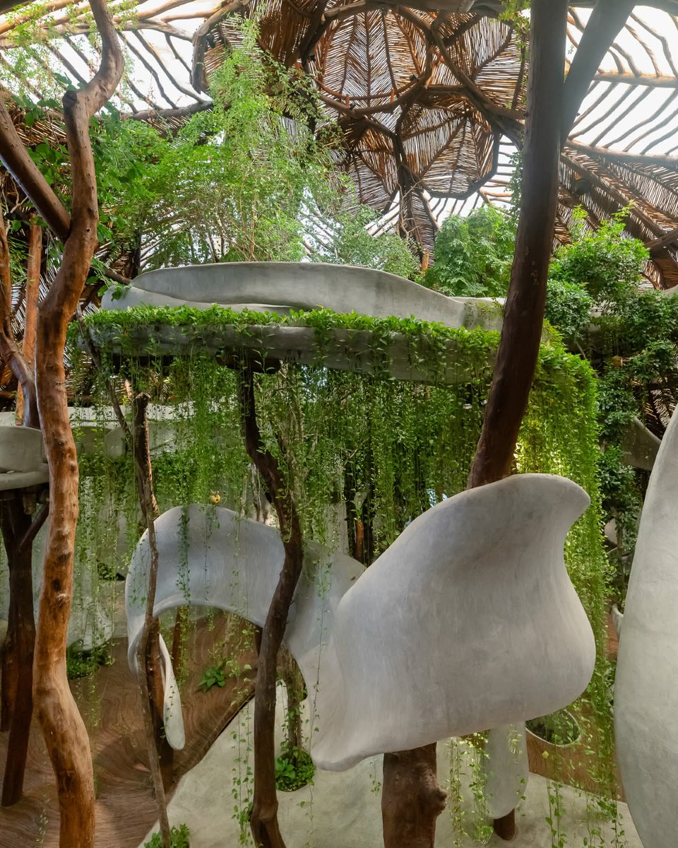 Playa Riviera tweet media