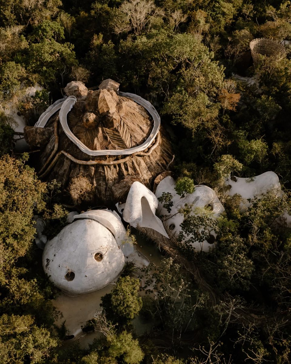 Playa Riviera tweet media