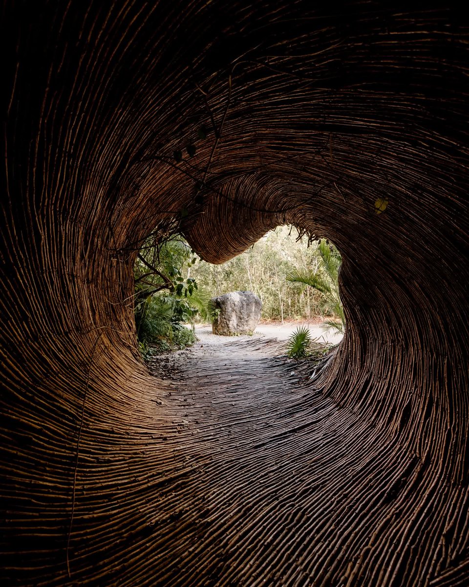 Playa Riviera tweet media