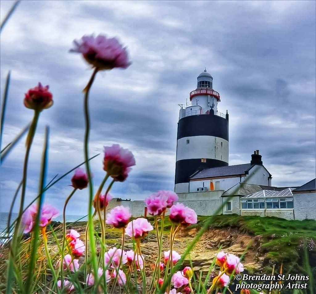 ThisIsIreland3's tweet image. Some pictures of the oldest working Lighthouse in the world, Hook Head Lighthouse 💚🌊

📍County Wexford, Ireland ☘️ 

📸 Brendan St Johns 

#Hookhead #Wexford #Ireland #History #Lighthouse