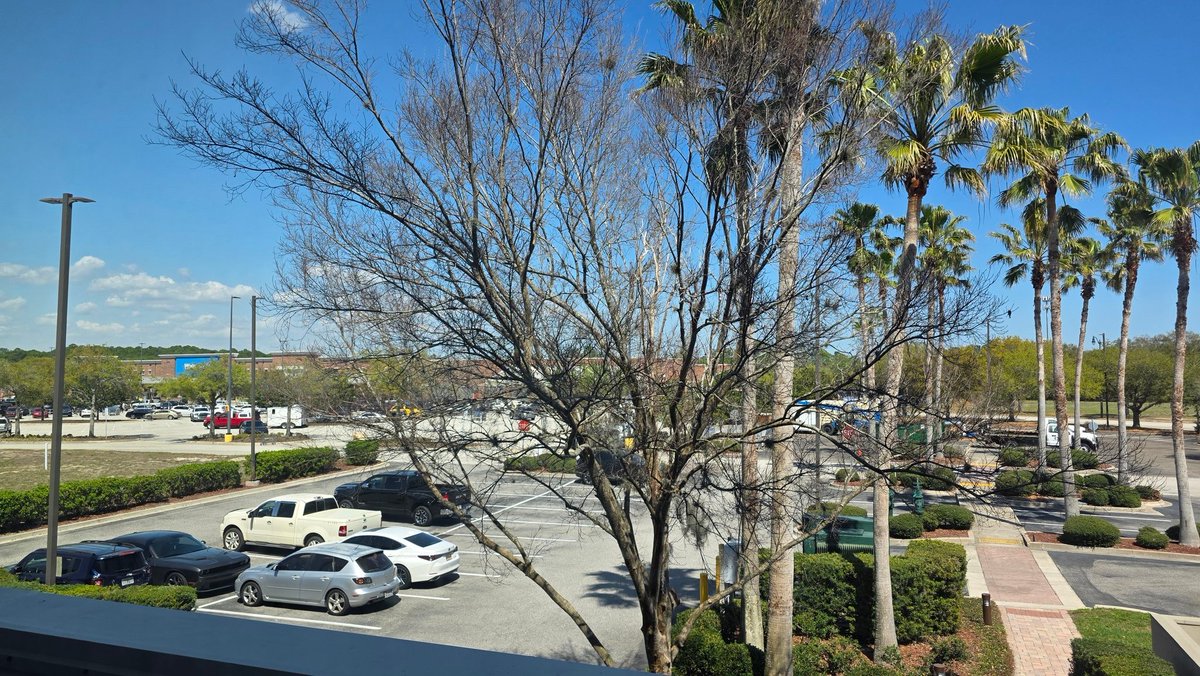 Joe Shepherd tweet media