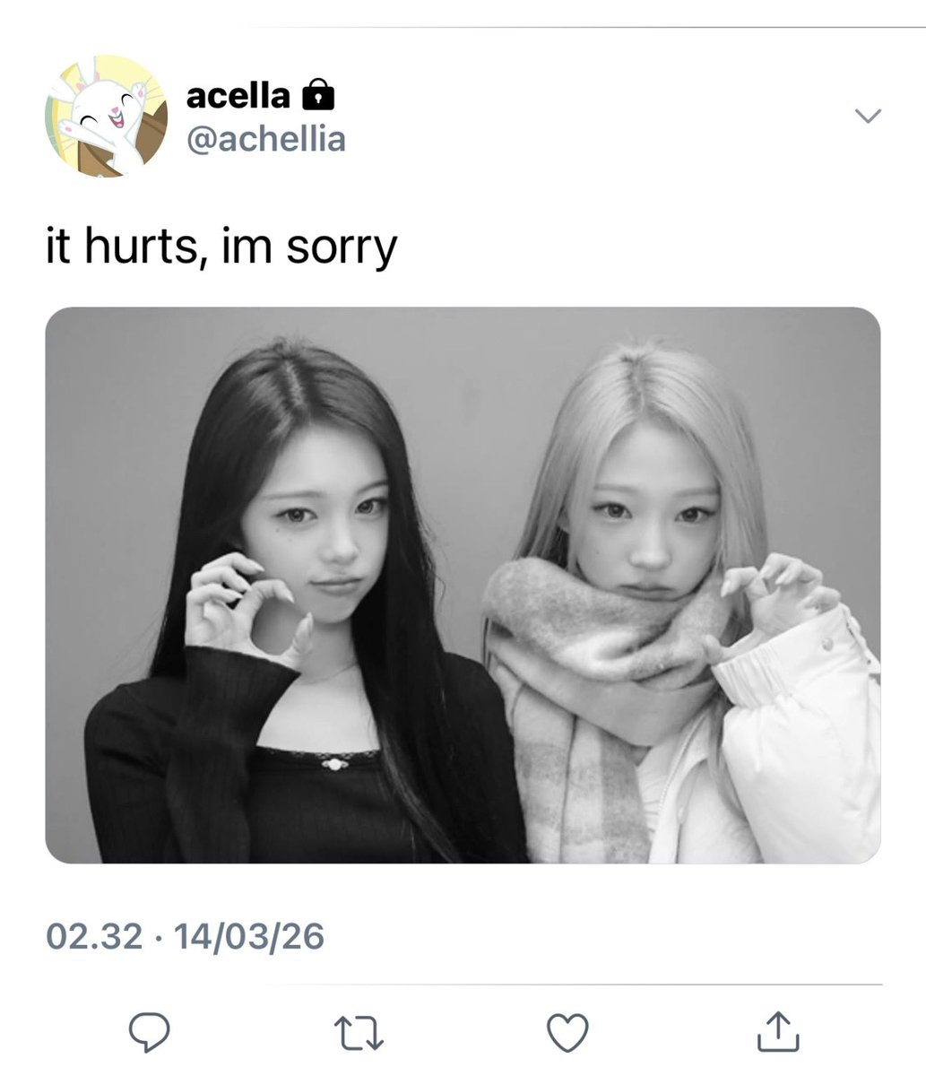 termilka tweet media