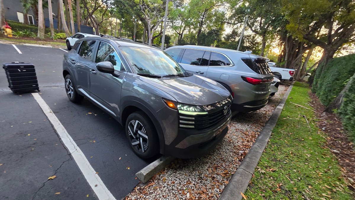 Joe Shepherd tweet media