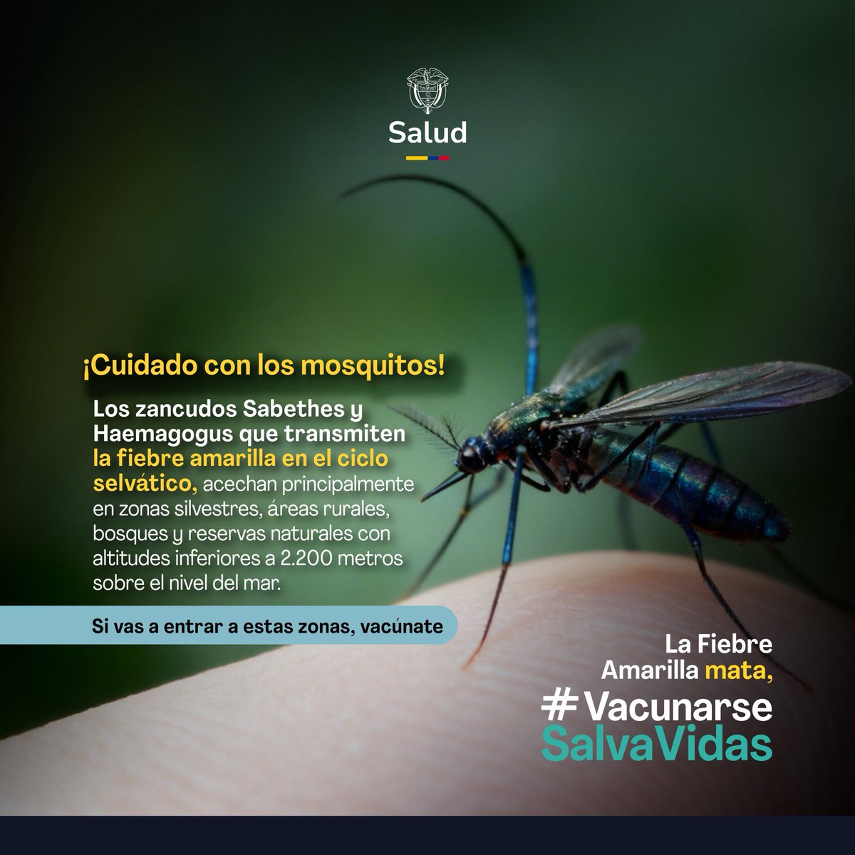 MinSalud Colombia 🇨🇴 tweet media