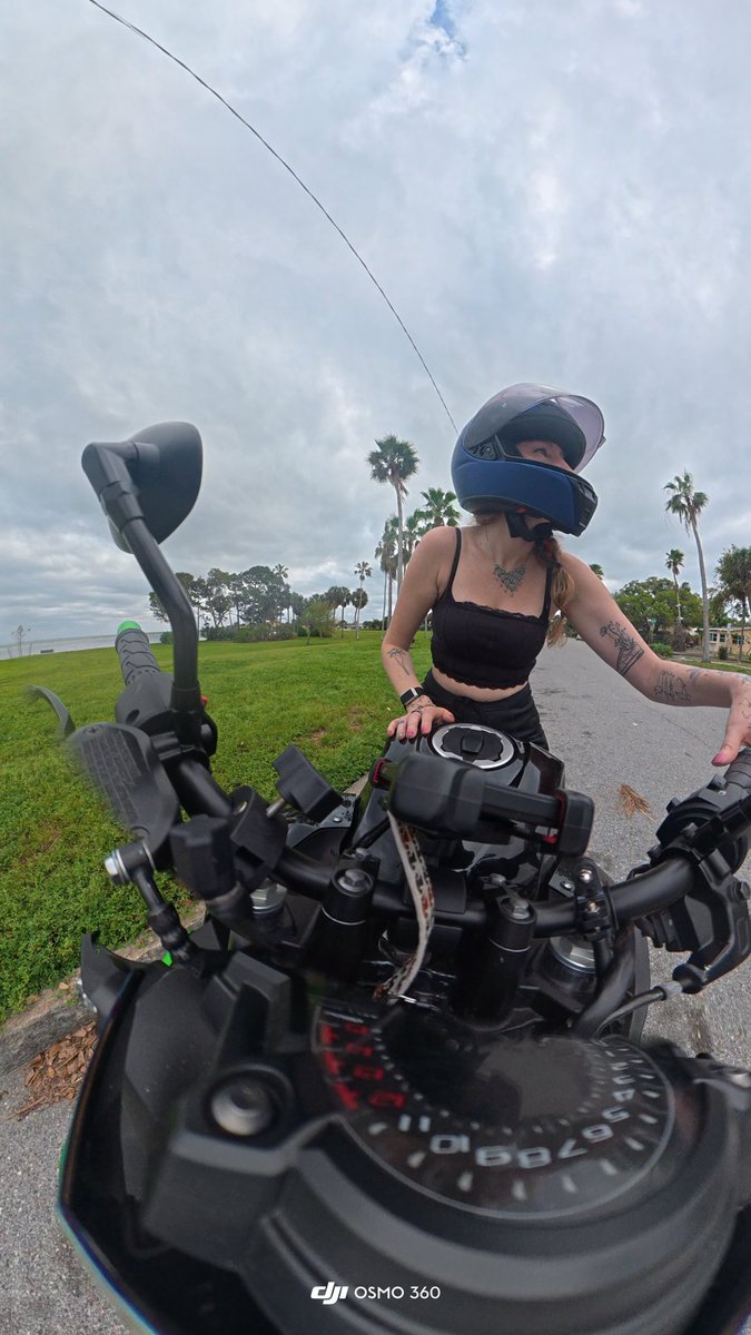 Lindsay the Legend tweet media