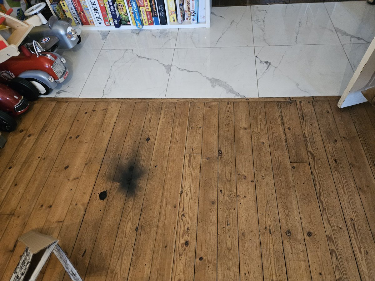 Cyber Meow Cat tweet media