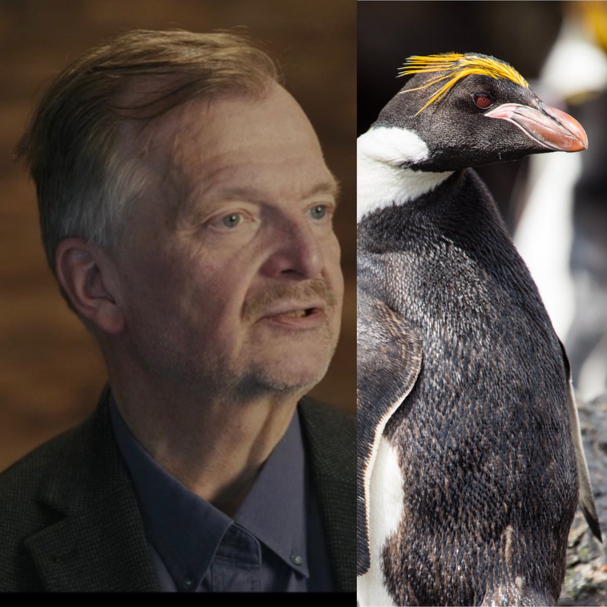 Ben Tagger tweet media